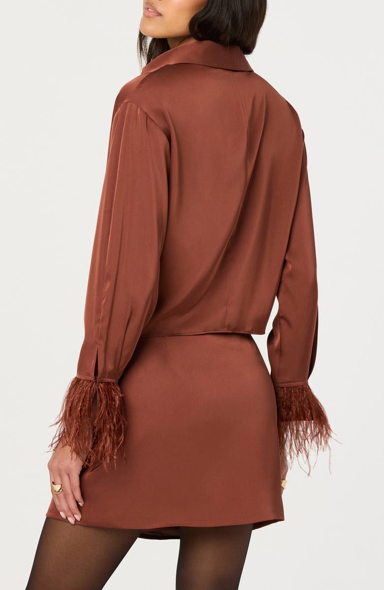 ASTR the Label Catrina Feather Accent Surplice Satin Top, Alternate, color, Rust Brown