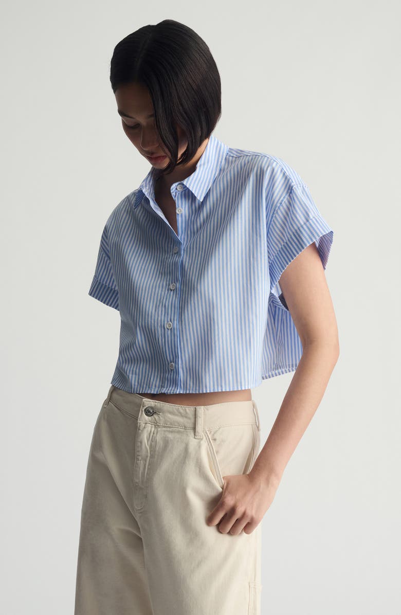 Brooklyn Industries Crop Button-Up Shirt, Alternate, color, 