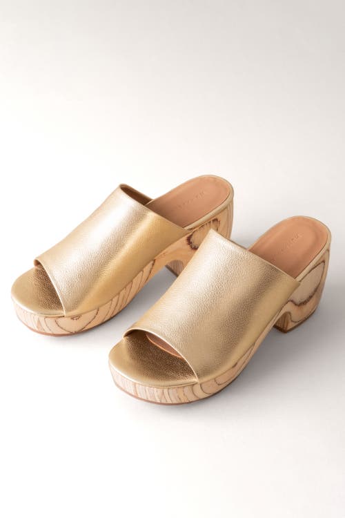 Huma Blanco Katlyn Platform Clog In Gold
