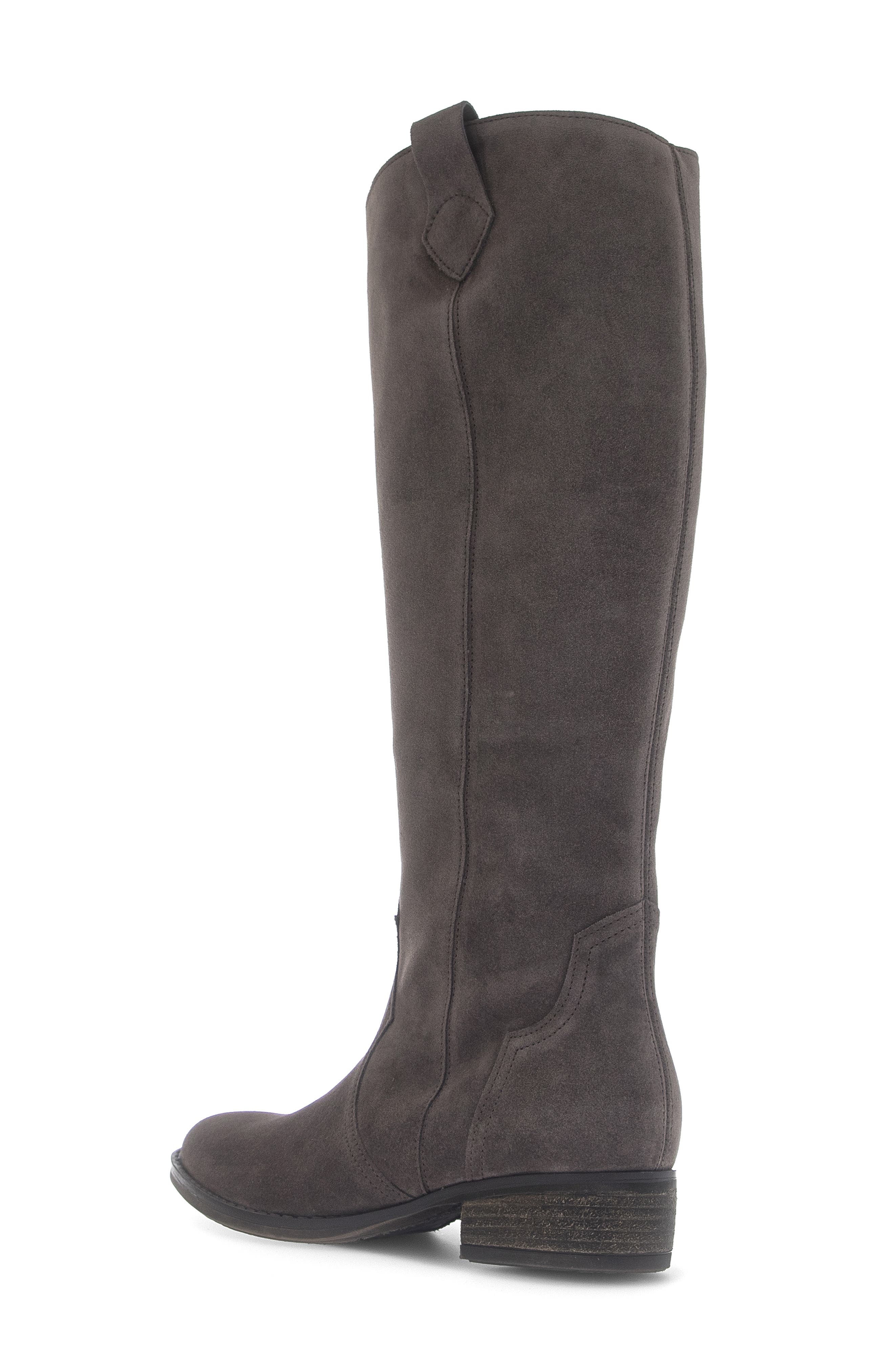 Virginia Leather Knee High Boot, Alternate, color, TAUPE