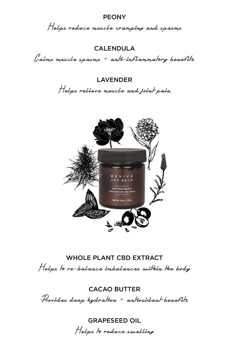 Revive CBD Balm, Alternate, color, NO COLOR