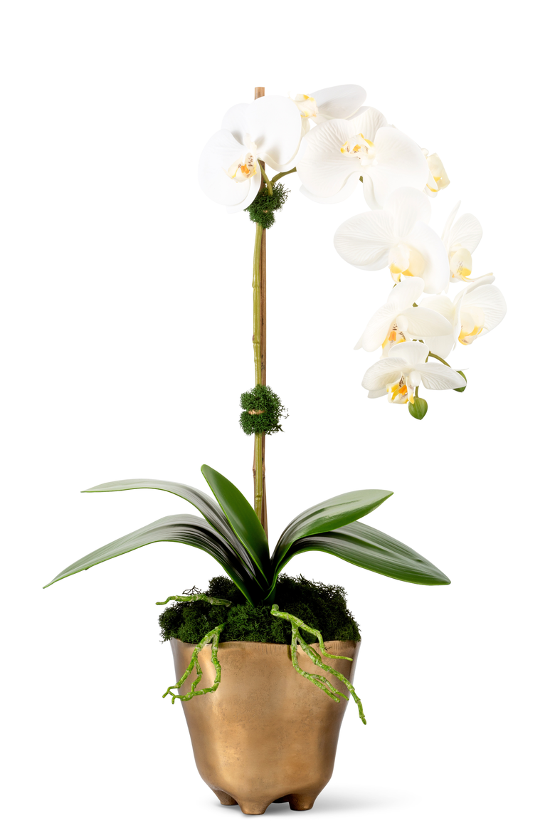 Axel RealTouch Orchid Arrangement, Main, color, Snow