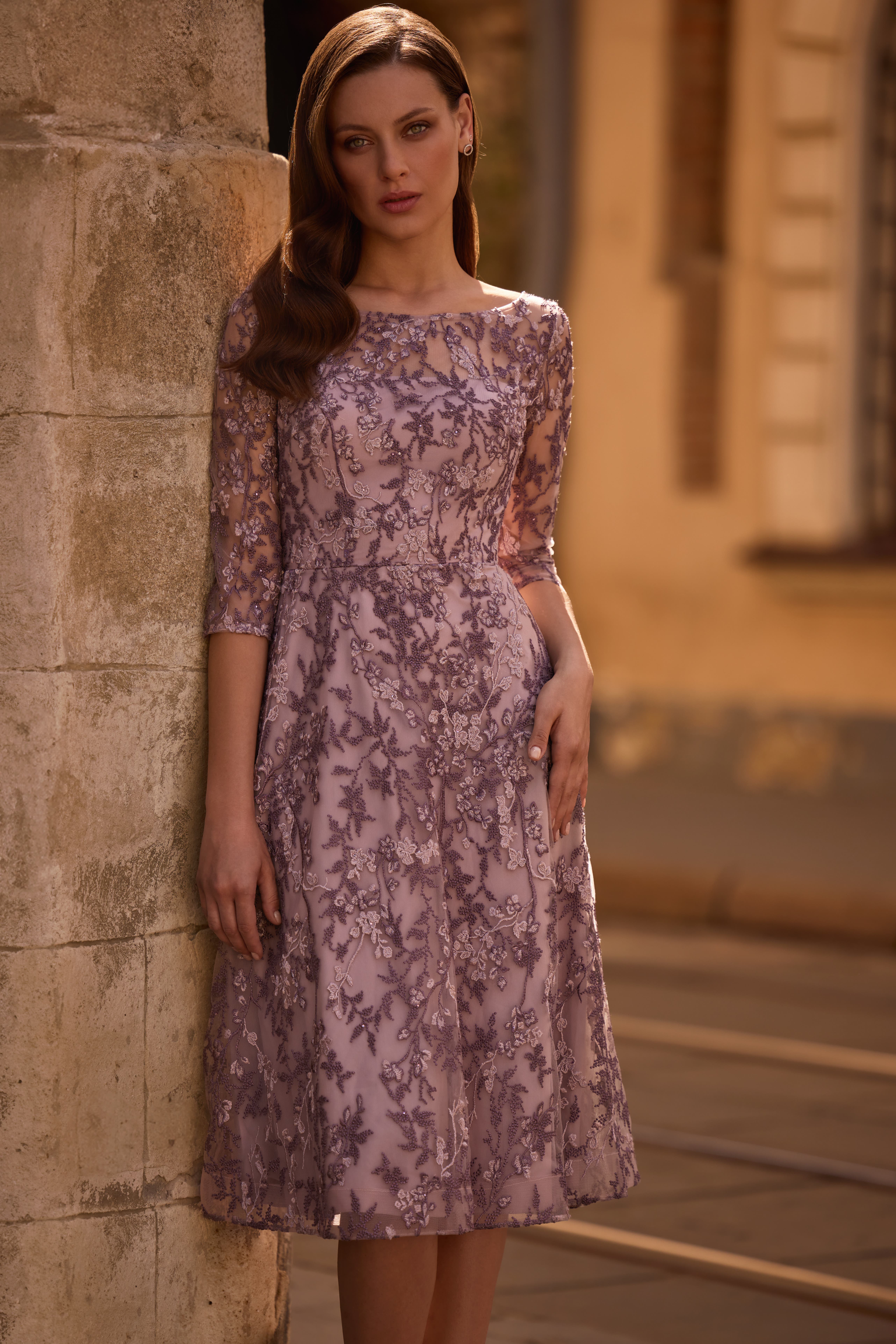 Tea Length Embroidered Dress with Sheer Sleeves (Women) | Nordstrom