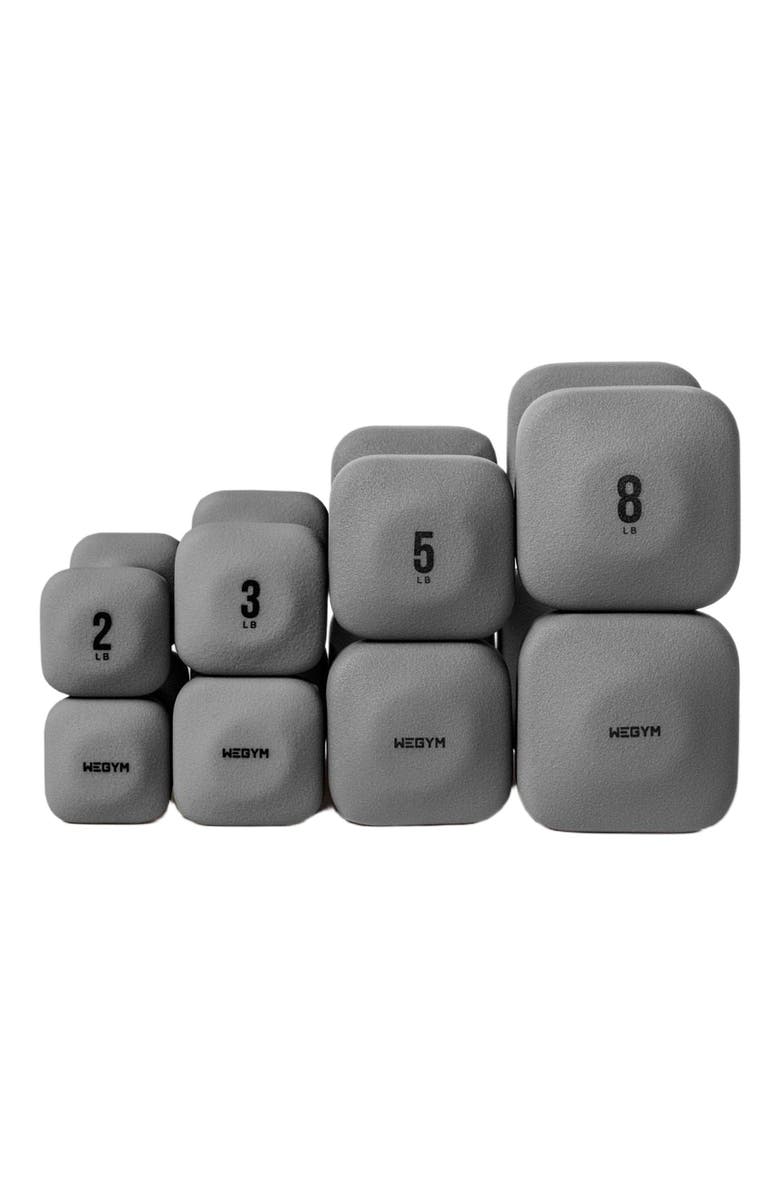 WeGym SafeGrip Dumbbells Lower Set with Dark Rack - 2, 3, 5, 8lbs, Alternate, color, Slate