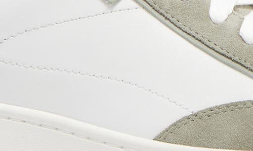 Frankie4 Farren Sneaker