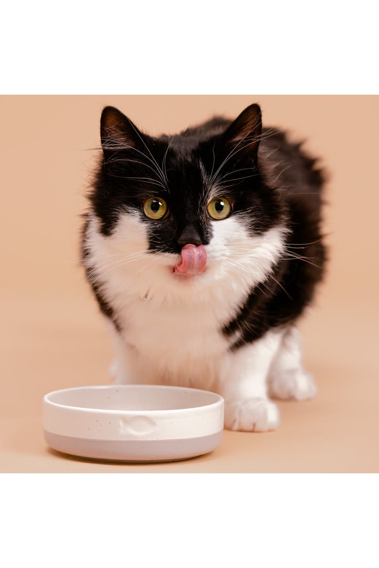 Speckle Dip Cat Bowl, Food & Water Dish, Alternate, color, Multicolored