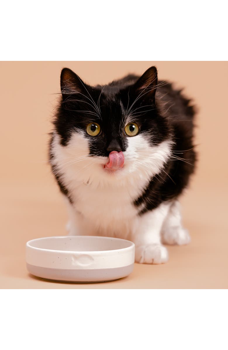 MASON CASH Speckle Dip Cat Bowl, Food & Water Dish, Alternate, color, Multicolored