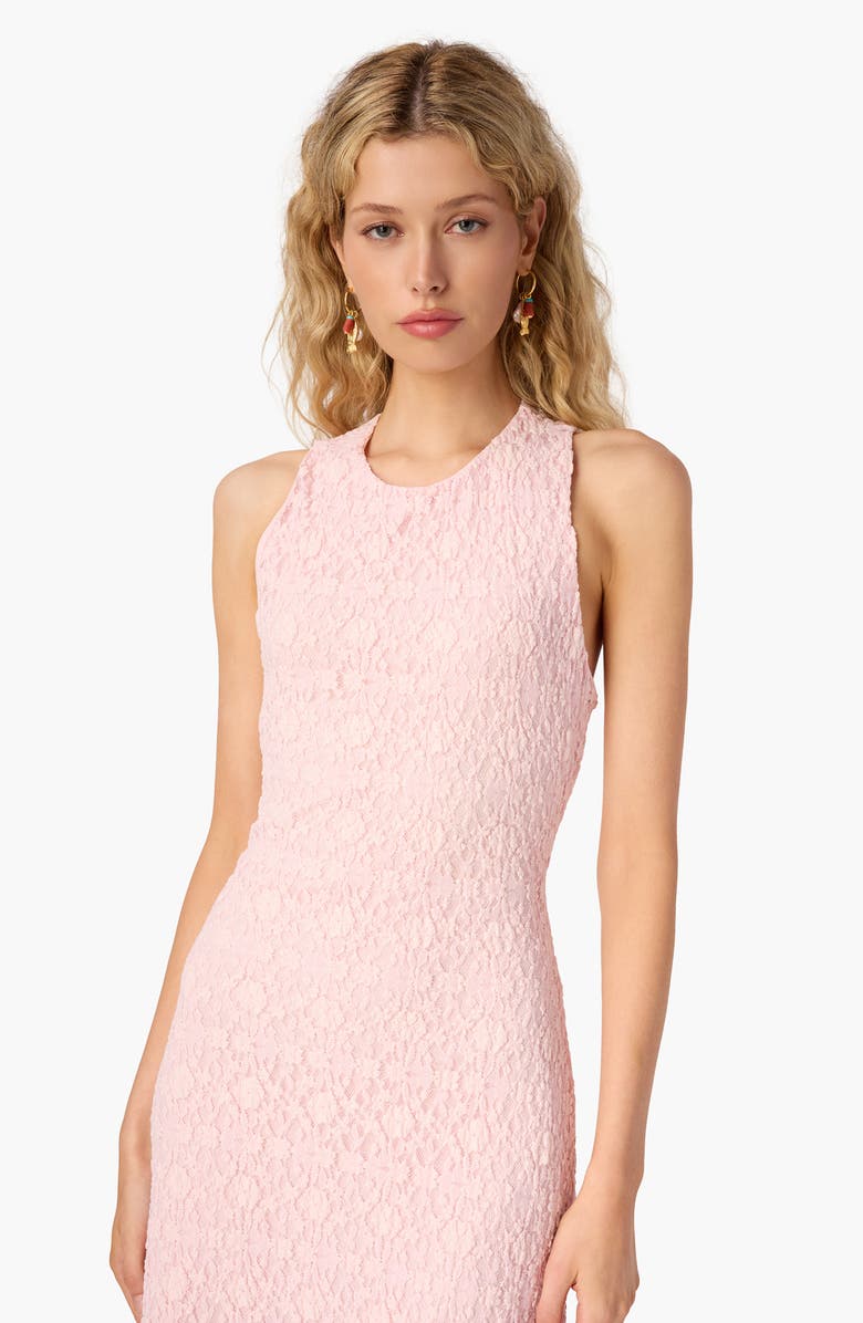 CAMI NYC Annison Lace Midi Dress, Alternate, color, Dogwood