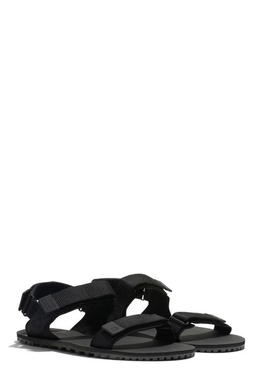 Xero Shoes D-trail Sandal In Black