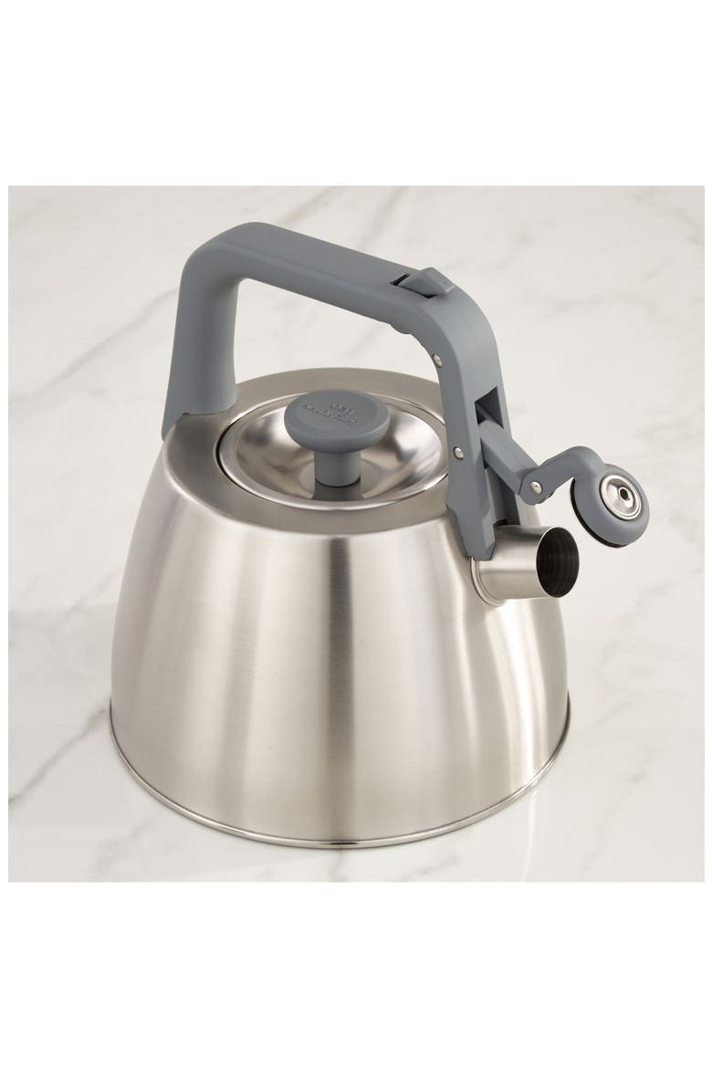 Leo Anthracite Stainless Steel Whistling Kettle, Alternate, color, GREY