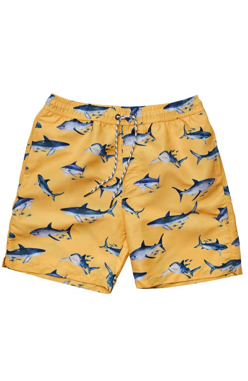 Snapper Rock Printed Swim Shorts In Orange