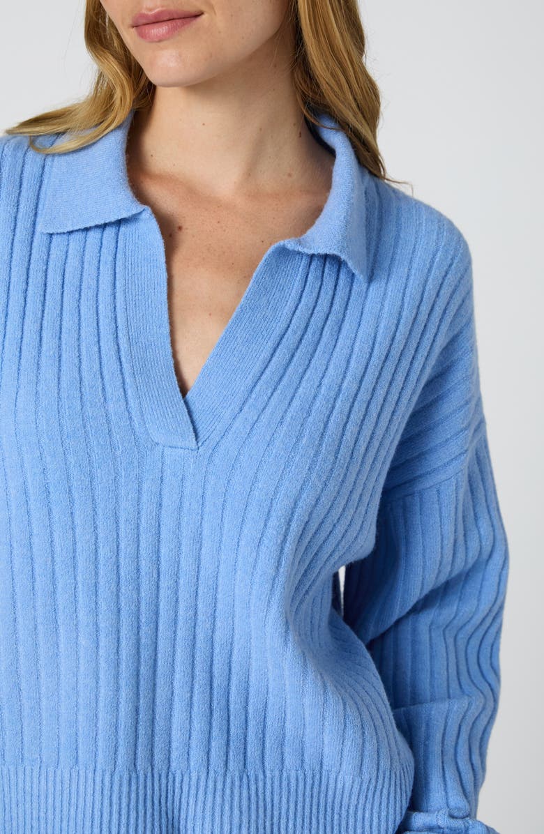 French Connection Vhari Rib Johnny Collar Sweater, Alternate, color, Dusted Blue