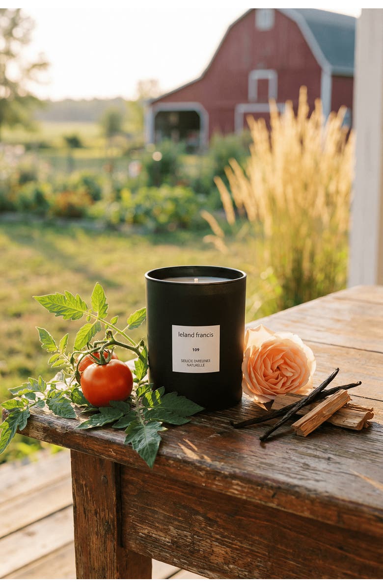 leland francis 109 - Bougie Parfumée Naturelle Candle, Alternate, color, NO COLOR