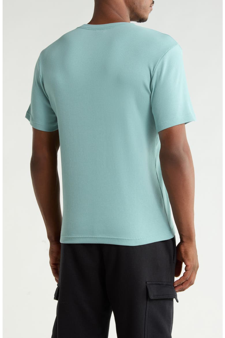 Rib Short Sleeve T-Shirt, Alternate, color, CANNON