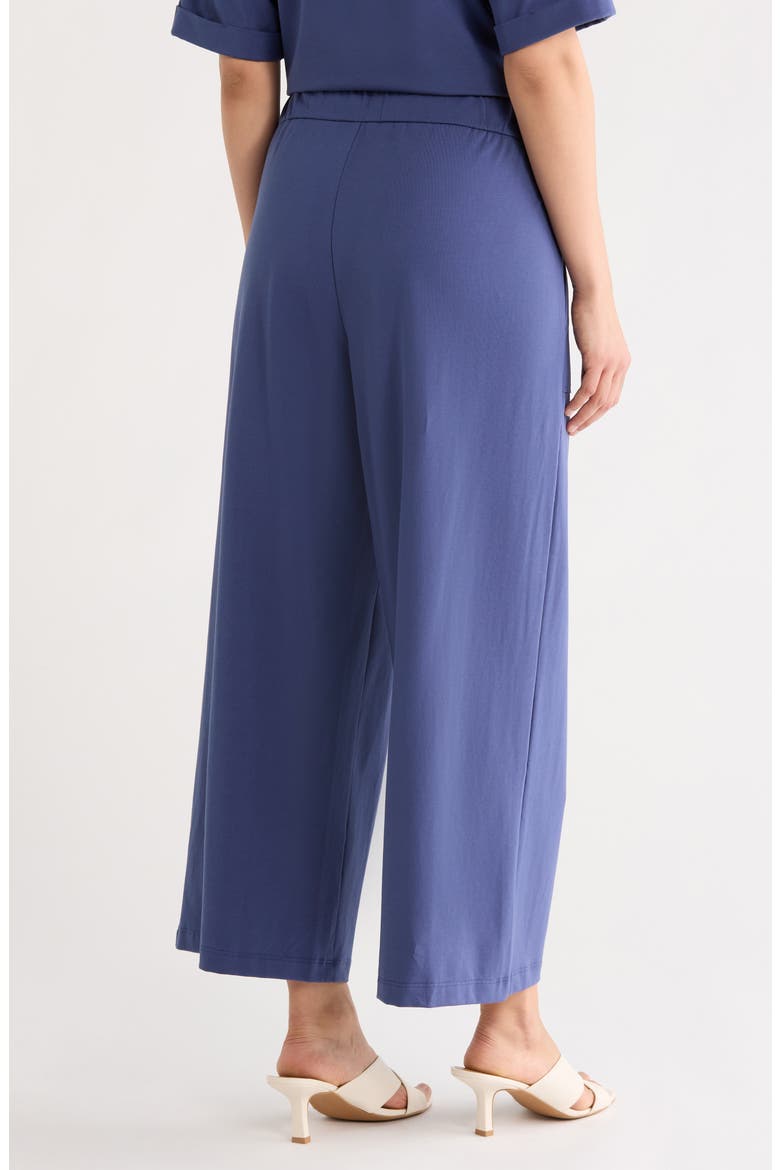 Cropped Wide Leg Pants, Alternate, color, BLUE VIOLET