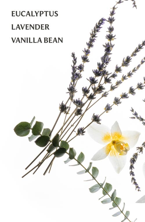 Touchland Power Mist Hydrating Hand Sanitizer