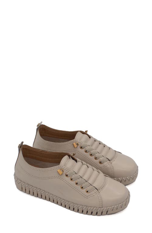 Bottero Bottwister Verao Xxiii Perforated Leather Sneaker