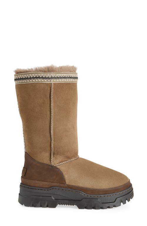Ugg ® Classic Tall Trailgazer Boot In Brown