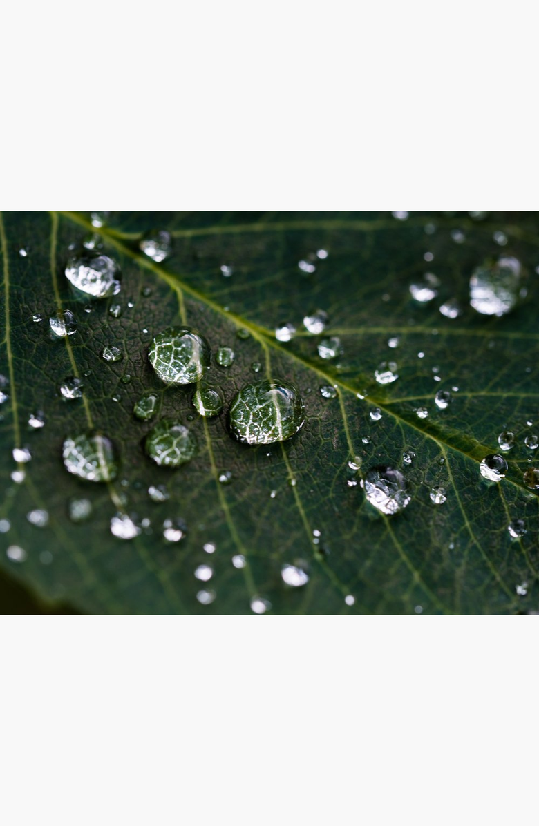 botanicary No. 5 RECOVER HydroFlora Balancing Mist, Alternate, color, Amber / Brown