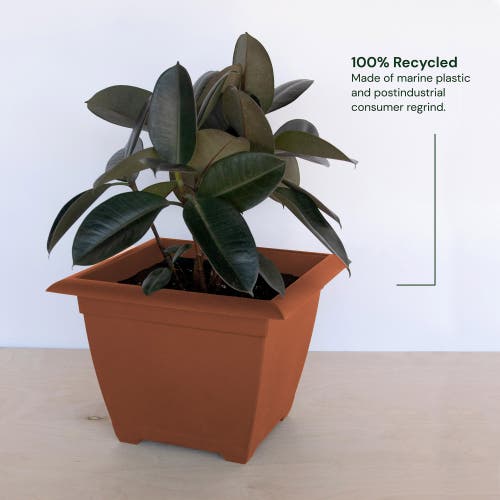 Bloem 15" Dayton Square Deck Planter, Terra Cotta In Brown