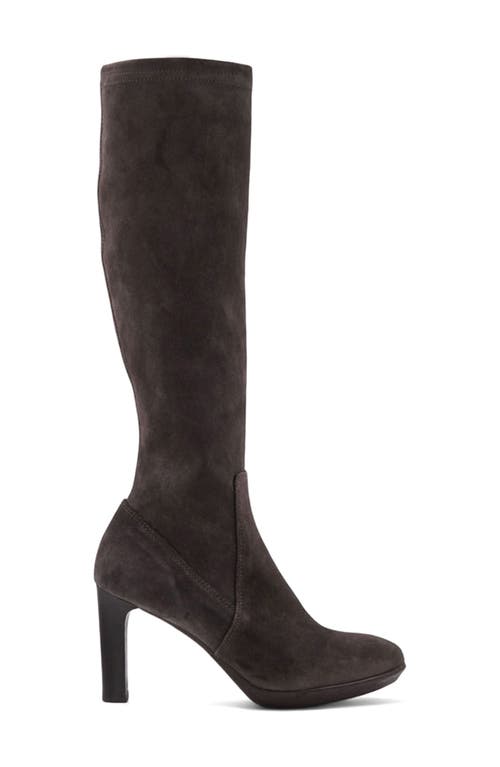 Aquatalia Rhumba Knee High Boot In Brown