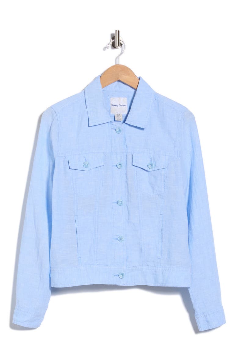 Two Palms Linen Jacket, Main, color, LT SKY