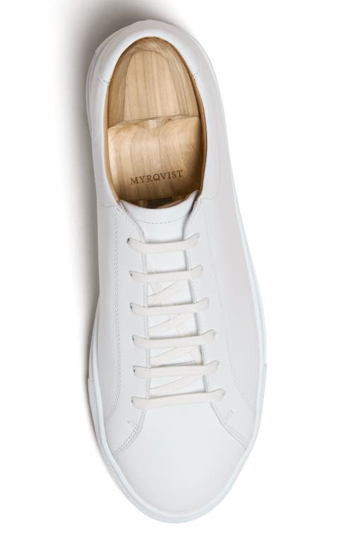 Myrqvist Oaxen Ii Sneakers In White