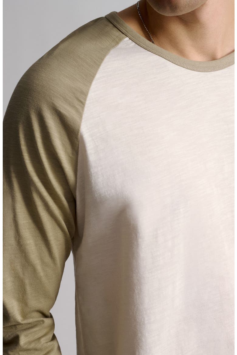 Slub Cotton Long Sleeve T-Shirt, Alternate, color, WINTER TWIG