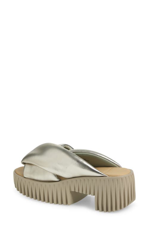 4ccccees Plia Anda Platform Sandal In Champagne