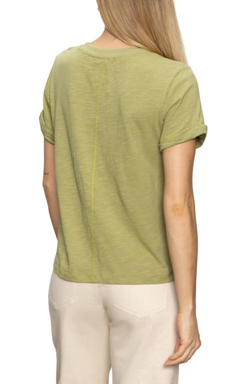 Sanctuary Perfect Roll Sleeve Cotton T-shirt In Green