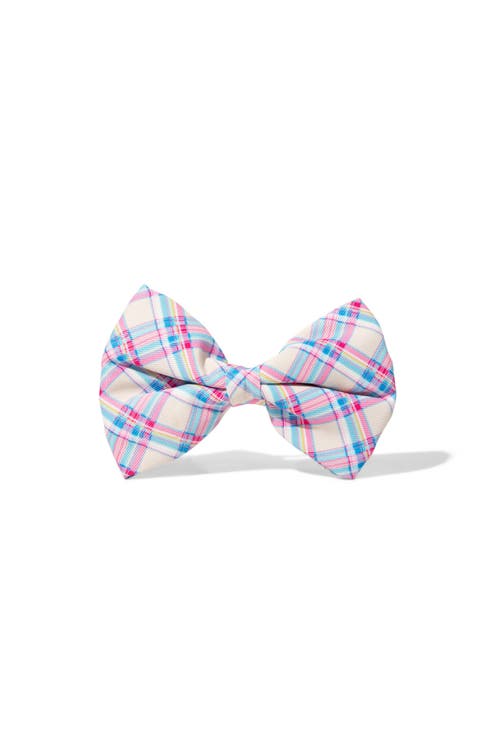 Whitley Bow Tie