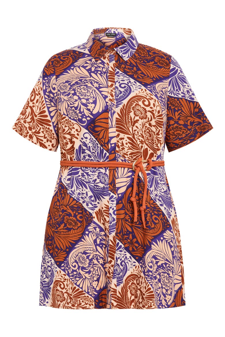 Becka Print Belted Dress, Alternate, color, PRINT