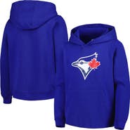 Outerstuff Youth Royal Toronto Blue Jays Team Primary Logo Pullover Hoodie