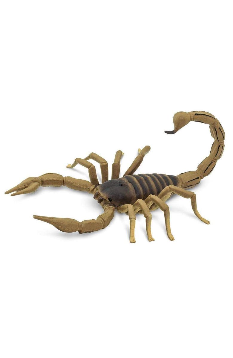 Safari Ltd. Scorpion Toy, Main, color, NO COLOR
