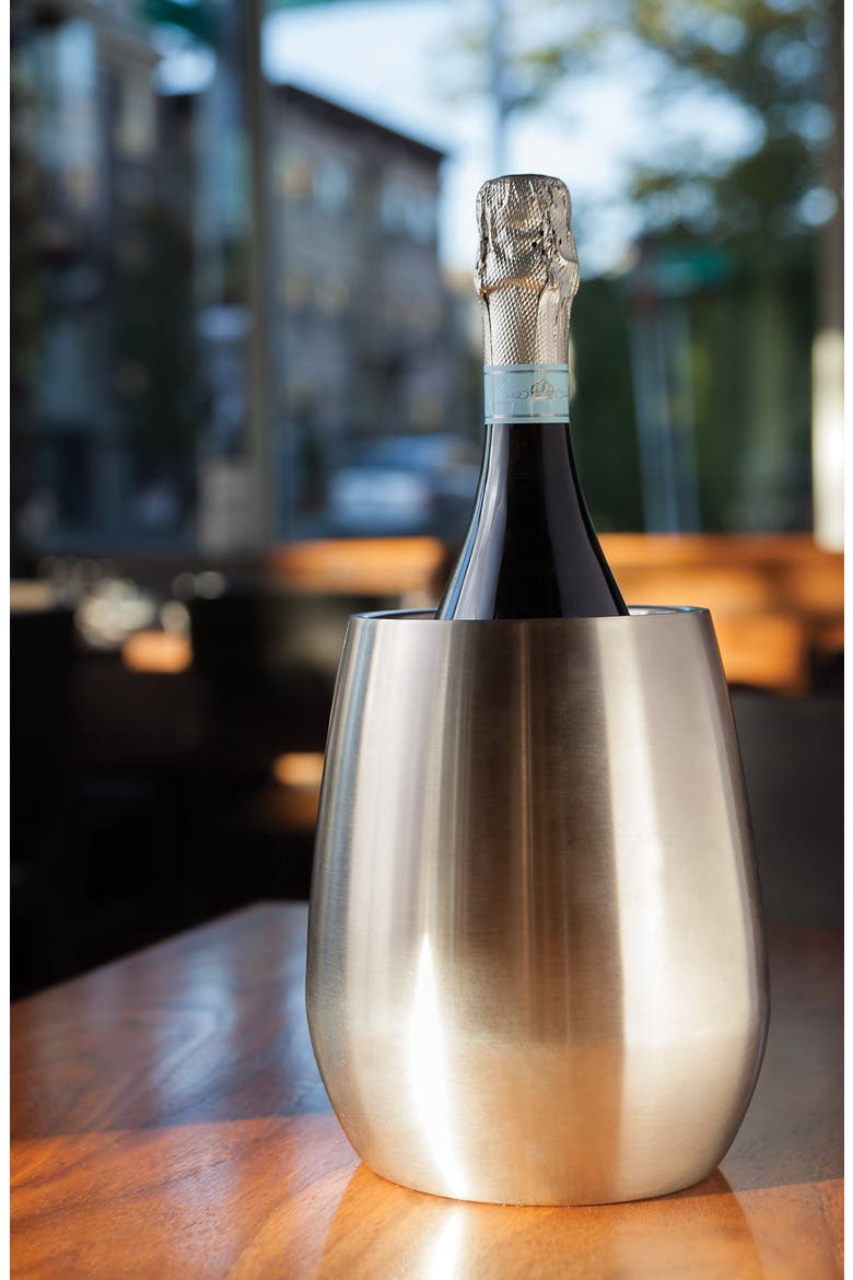 Bottle Chiller in Stainless Steel, Alternate, color, STAINLESS STEEL