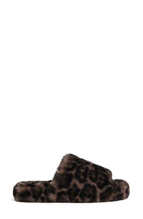 Apparis Dillon Faux Fur Slipper In Brown