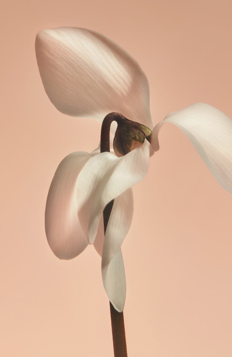 PHLUR Missing Person Body Wash, Alternate, color, 