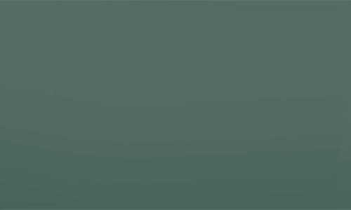 Zwilling Pure 11-inch Stainless Steel Ceramic Nonstick Fry Pan In Green