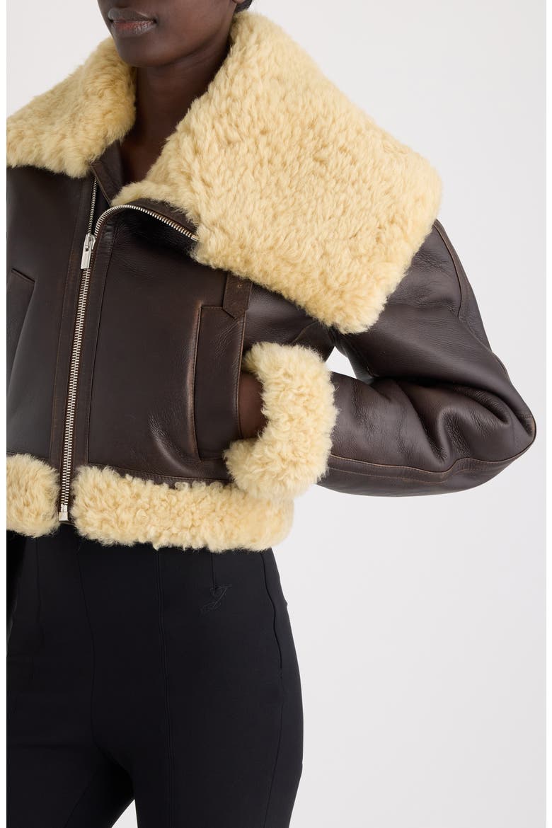 The Aviatore Asymmetric Aviator Jacket, Alternate, color, DARK BROWN