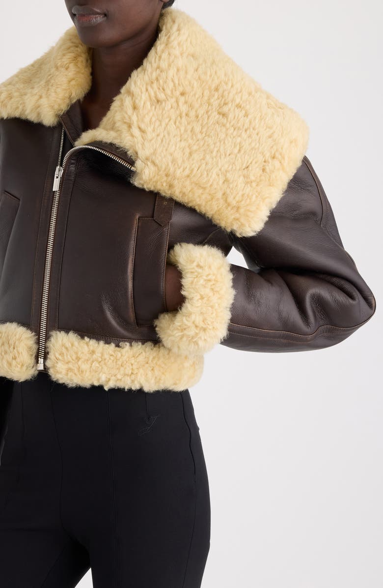 Jacquemus The Aviatore Asymmetric Aviator Jacket, Alternate, color, Dark Brown