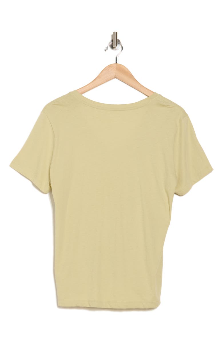 Madewell Softfade V-Neck Tee, Alternate, color, Pale Lichen