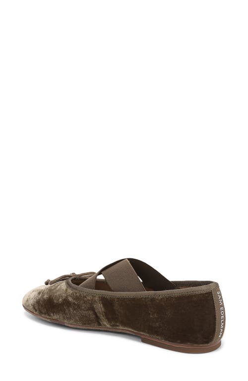 Sam Edelman Arya Ballet Flat In Brown