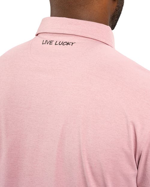 Black Clover Holden Polo In Pink