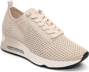 Ash Laika Mesh Sneaker (Women) | Nordstrom
