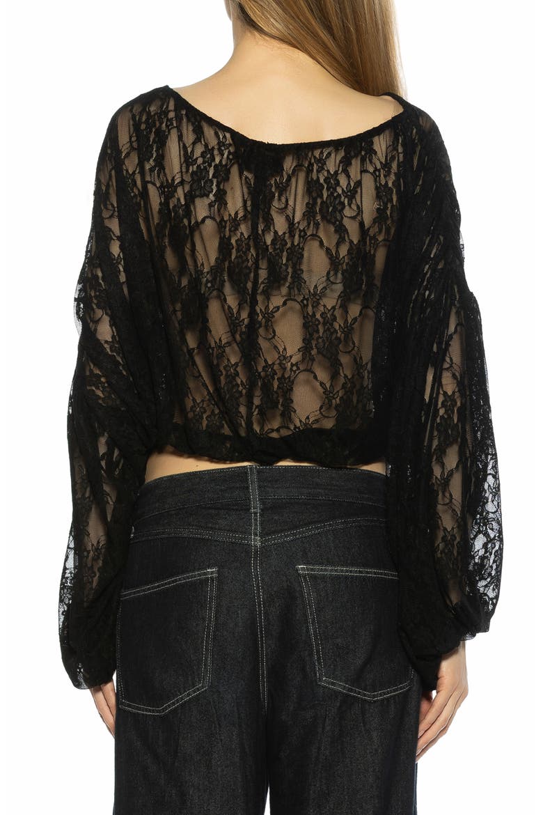 Luca Sheer Lace Top, Alternate, color, BLACK