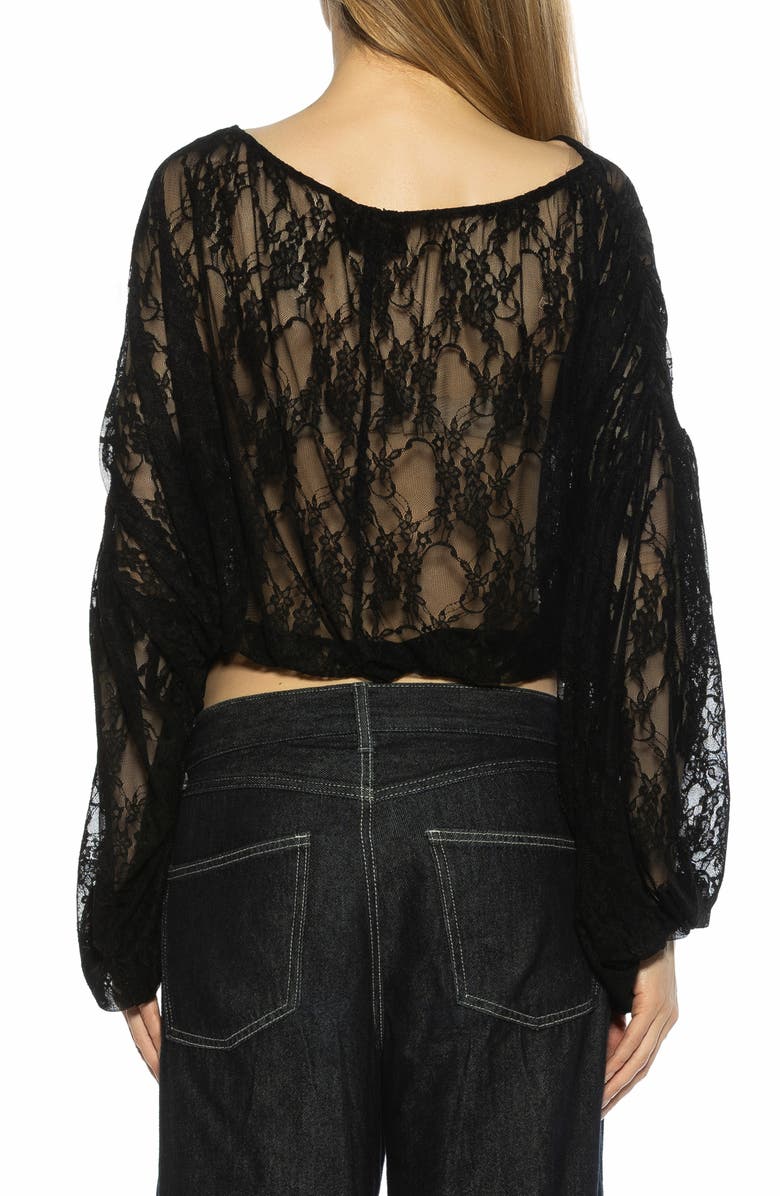 Alexia Admor Luca Sheer Lace Top, Alternate, color, Black