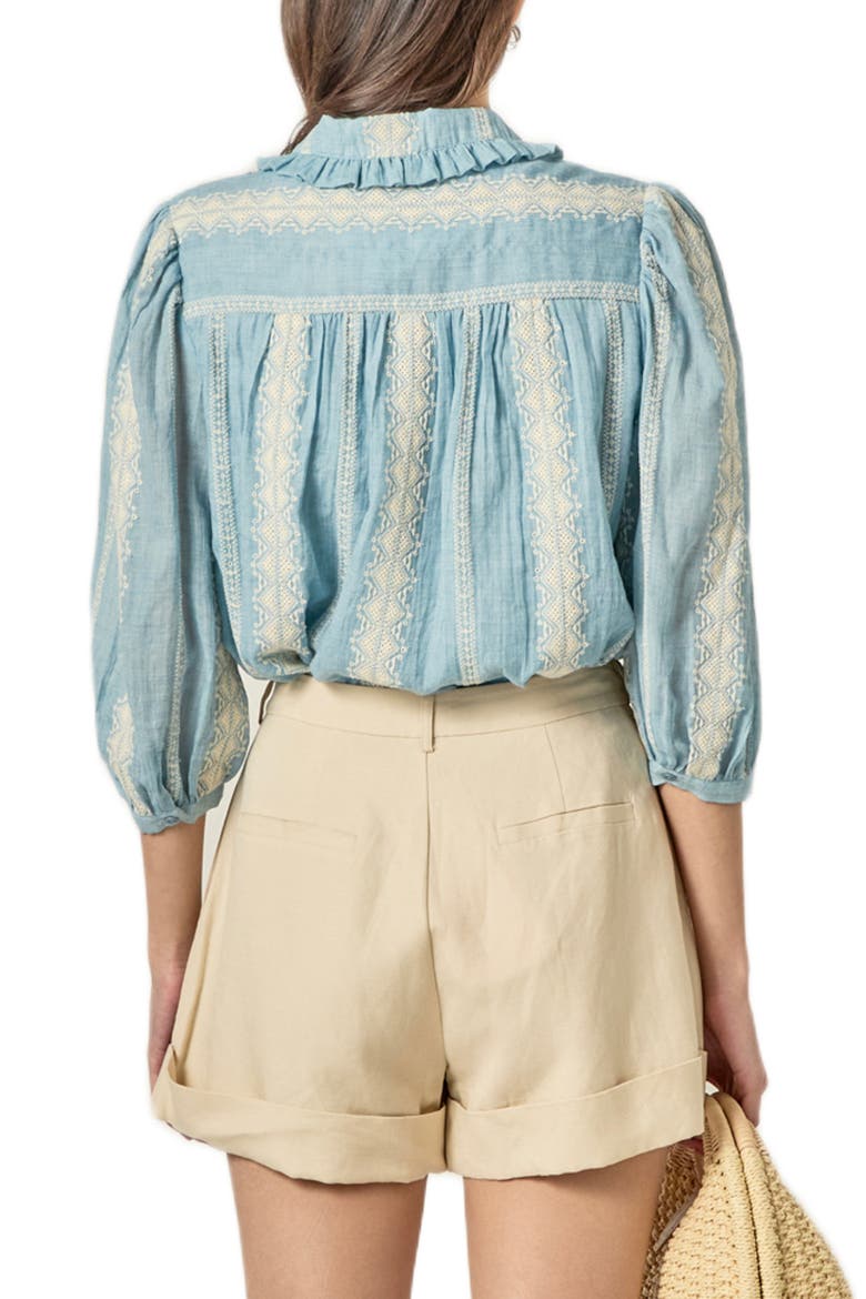 Ruffle Embroidered Puff Shoulder Shirt, Alternate, color, POWDER BLUE/ NATURAL