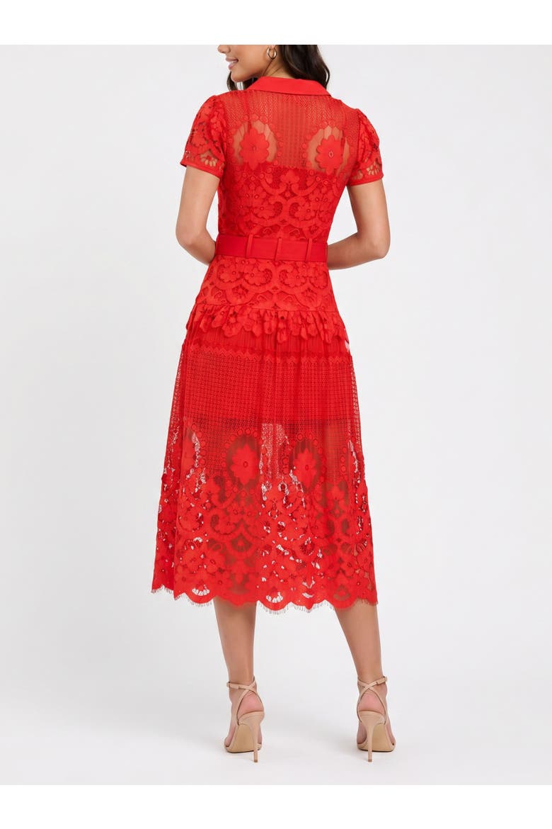 Jolene Collared Lace Midi Dress, Alternate, color, Red