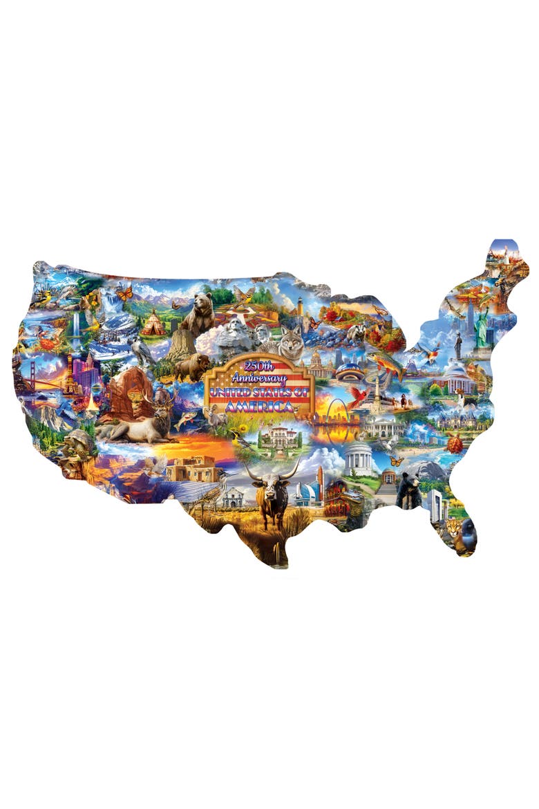 United States 1000 Piece Shaped Puzzle, Alternate, color, Multicolor