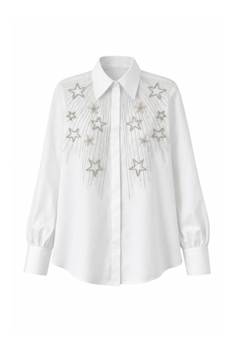 Bernard Embroidered Cotton Shirt, Alternate, color, ECRU